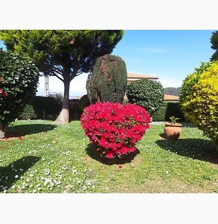 Homestay La Casa De Mariela *